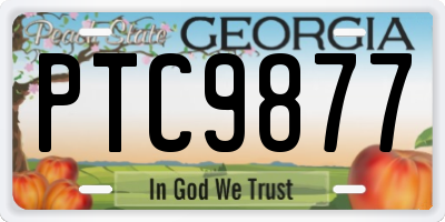 GA license plate PTC9877