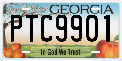 GA license plate PTC9901