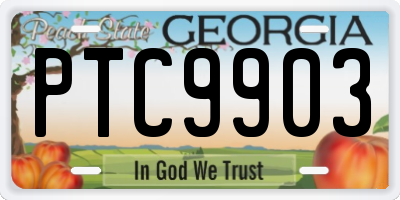 GA license plate PTC9903
