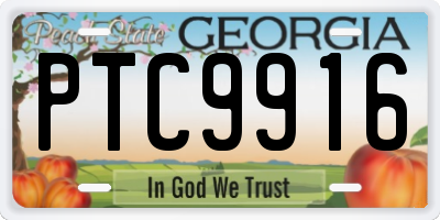 GA license plate PTC9916