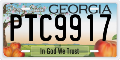 GA license plate PTC9917