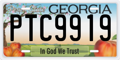 GA license plate PTC9919