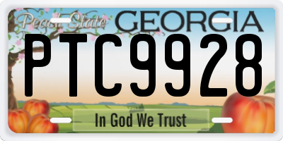 GA license plate PTC9928