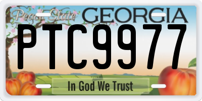 GA license plate PTC9977