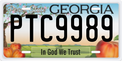 GA license plate PTC9989