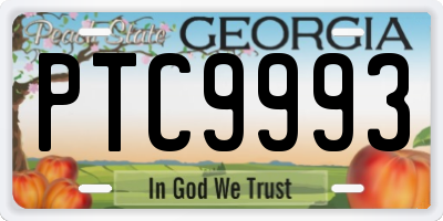GA license plate PTC9993