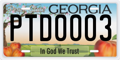 GA license plate PTD0003