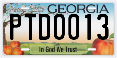 GA license plate PTD0013