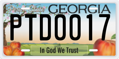 GA license plate PTD0017
