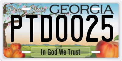 GA license plate PTD0025