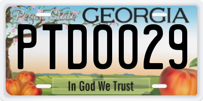 GA license plate PTD0029