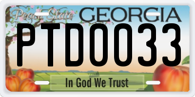 GA license plate PTD0033