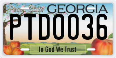 GA license plate PTD0036
