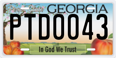 GA license plate PTD0043