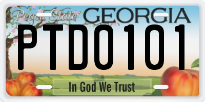GA license plate PTD0101