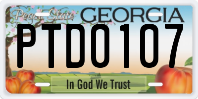 GA license plate PTD0107