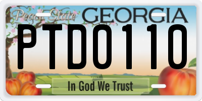 GA license plate PTD0110