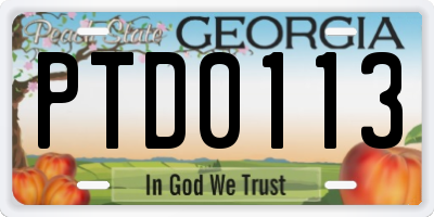 GA license plate PTD0113