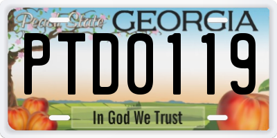 GA license plate PTD0119