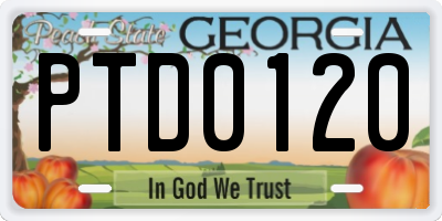 GA license plate PTD0120