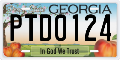 GA license plate PTD0124