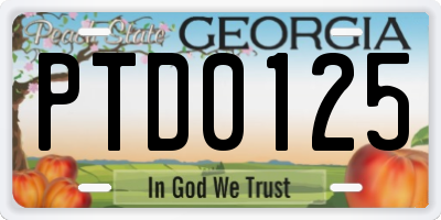 GA license plate PTD0125