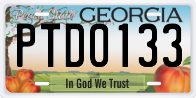 GA license plate PTD0133