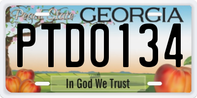 GA license plate PTD0134