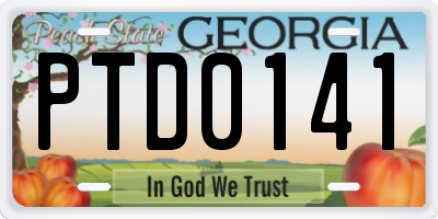 GA license plate PTD0141