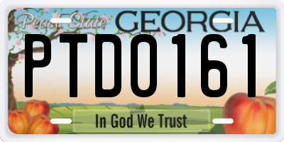 GA license plate PTD0161