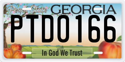 GA license plate PTD0166