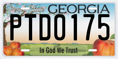 GA license plate PTD0175