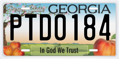 GA license plate PTD0184