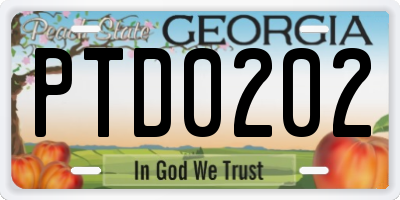 GA license plate PTD0202