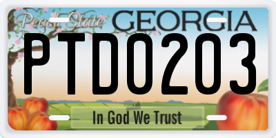 GA license plate PTD0203