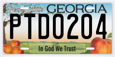 GA license plate PTD0204
