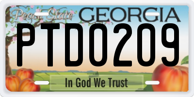 GA license plate PTD0209