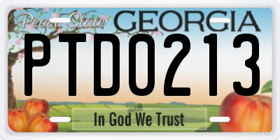 GA license plate PTD0213