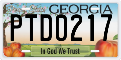GA license plate PTD0217