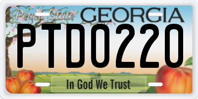 GA license plate PTD0220