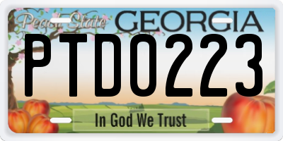 GA license plate PTD0223