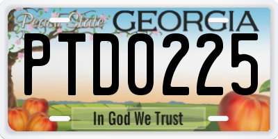 GA license plate PTD0225