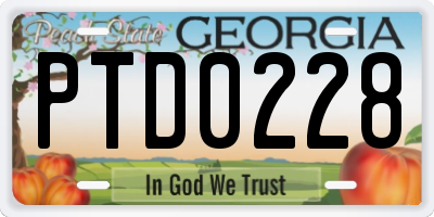 GA license plate PTD0228