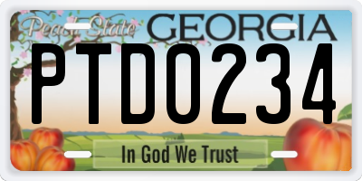 GA license plate PTD0234