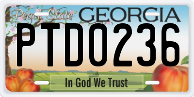 GA license plate PTD0236