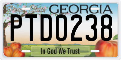 GA license plate PTD0238
