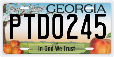 GA license plate PTD0245