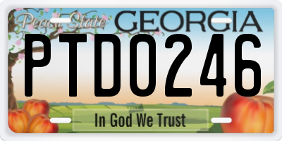 GA license plate PTD0246