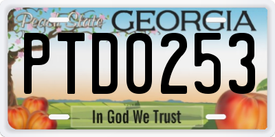 GA license plate PTD0253