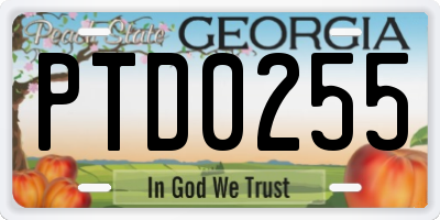 GA license plate PTD0255